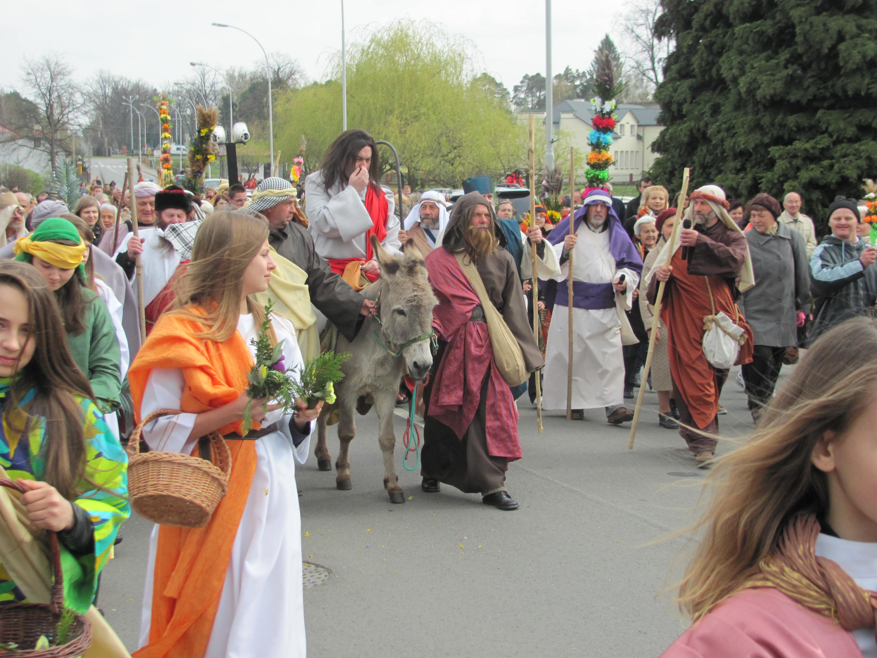 3wjazd2014.jpg